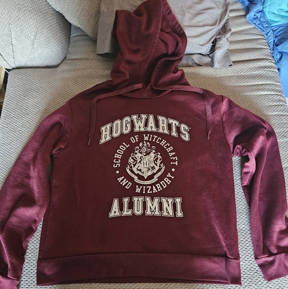 ๐3/$25๐ Burgundy/Harry Potter Graphic Hoodie - Picture 2 of 6